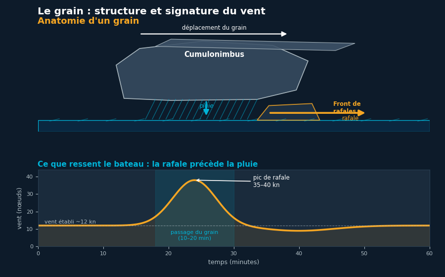 Schéma de l'anatomie d'un grain : cumulonimbus avec enclume, rideau de pluie, courant descendant, front de rafales, et profil du vent en nœuds montrant le pic de rafale qui précède la pluie
